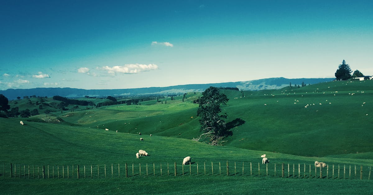 Cranbourne East, Victoria