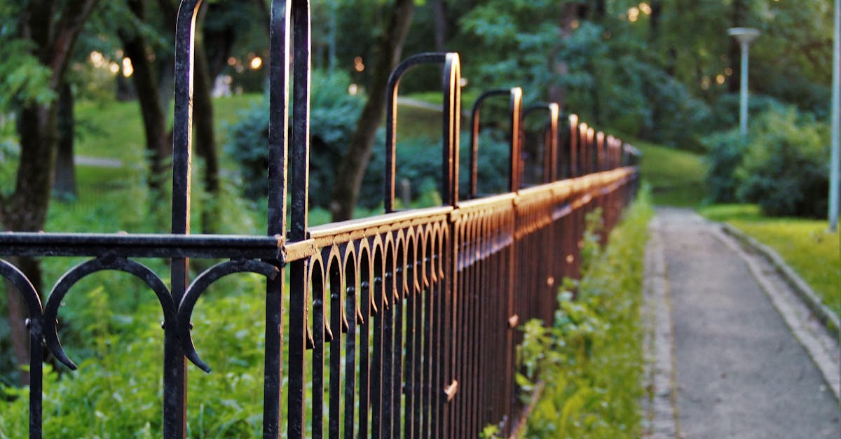 Fence maintenance